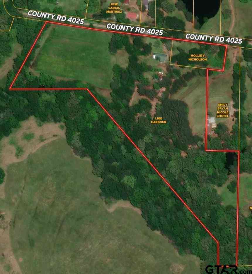 Homes For Sale - 432 County Road 4025<br/> Titus County, Mount Pleasant, TX 75455