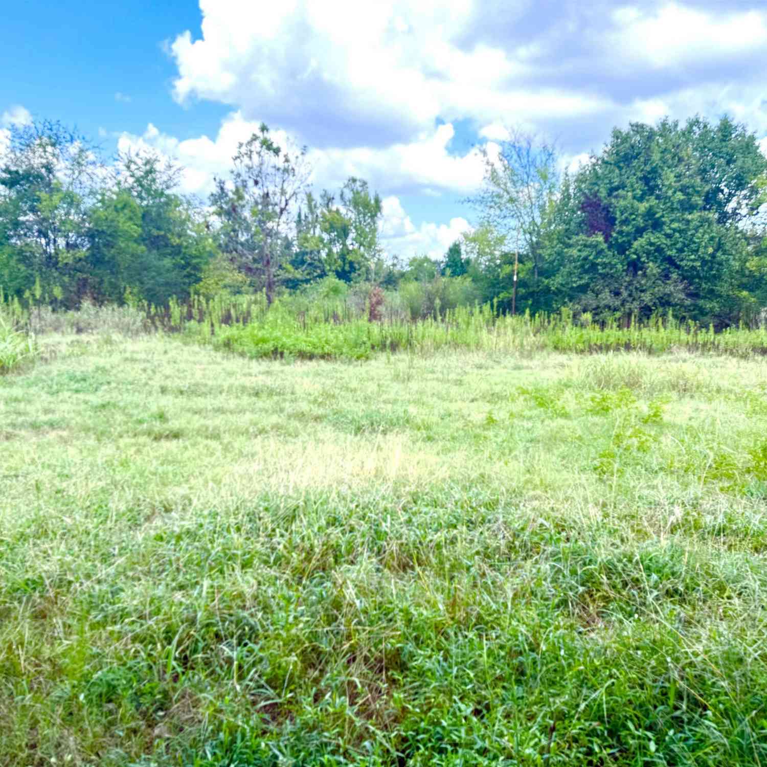 Homes For Sale - 215 E Henderson St<br/> Rusk County, Reklaw, TX 75784