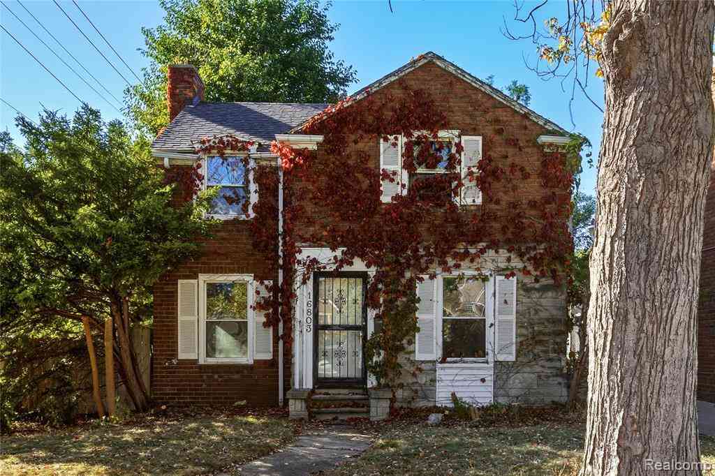 Homes For Sale - 16803 Marlowe Street <br/> Wayne County, Detroit, MI 48235