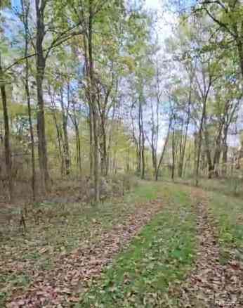 Homes For Sale - 37 Risch Road <br/> Webberville, MI 48892