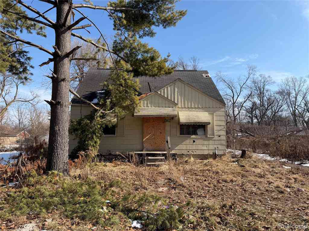 Homes For Sale - 17206 Salem Street <br/> Detroit, MI 48219