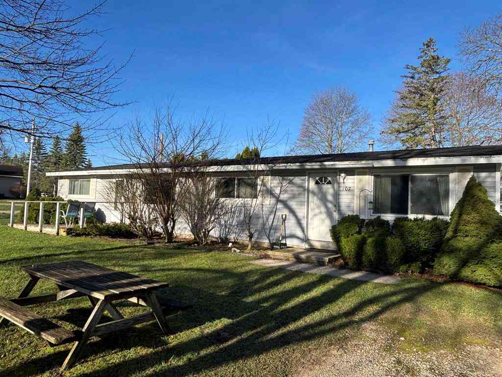 Homes For Sale - 105 & 107 Brand Street <br/> Antrim County, Elk Rapids, MI 49629