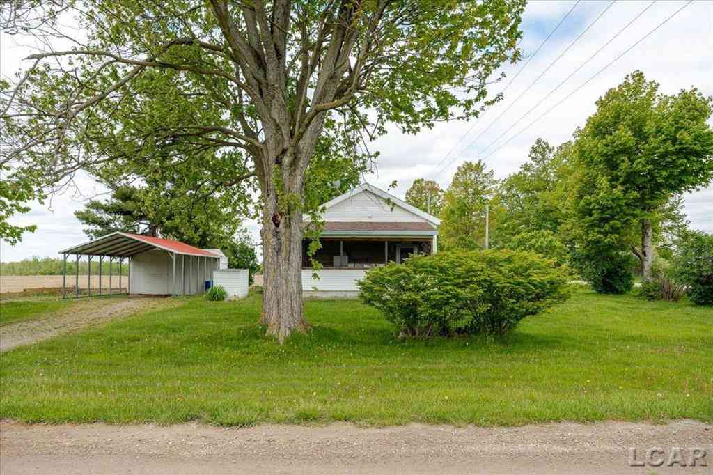 Homes For Sale - 4010 Childs Highway <br/> Hudson, MI 49247