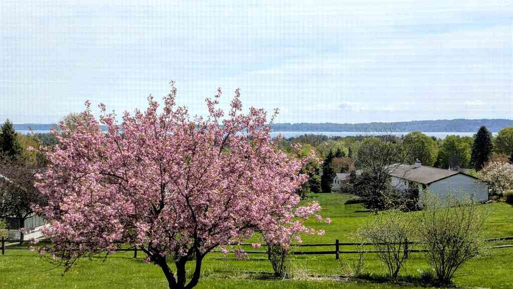 Homes For Sale - 9754 E Harbor Hills Drive <br/> Traverse City, MI 49684