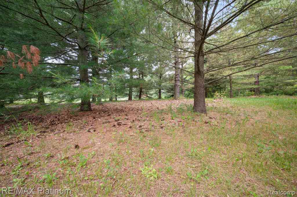 Homes For Sale - 12902 Autumn Ridge Court <br/> Milford, MI 48380