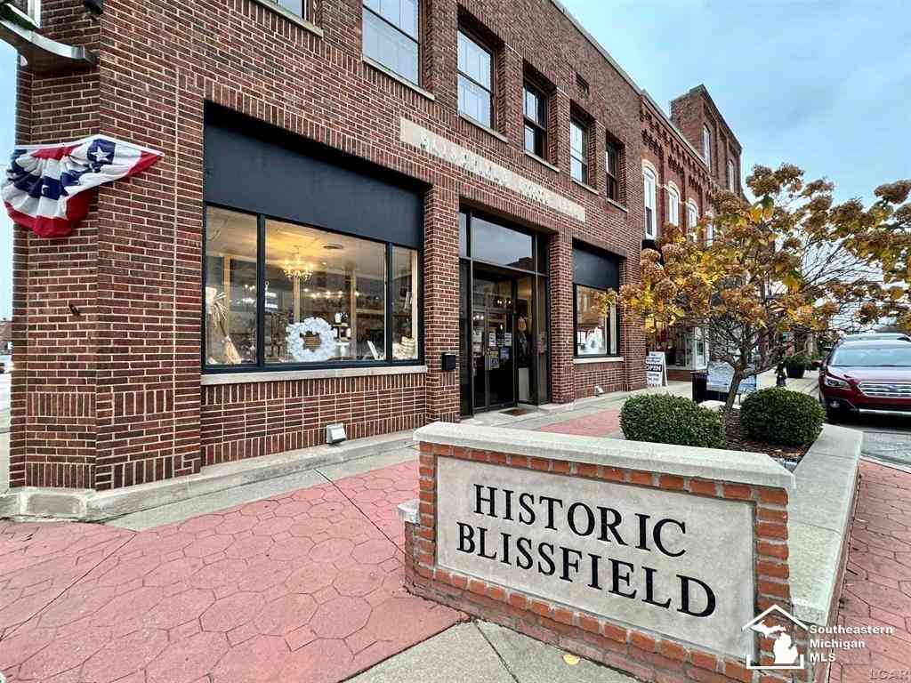 Homes For Sale - 101 S Lane Street <br/> Lenawee County, Blissfield, MI 49228