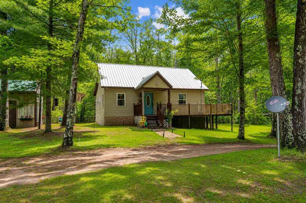 Homes For Sale - 1293 W Grant Street <br/> Newaygo County, Bitely, MI 49309