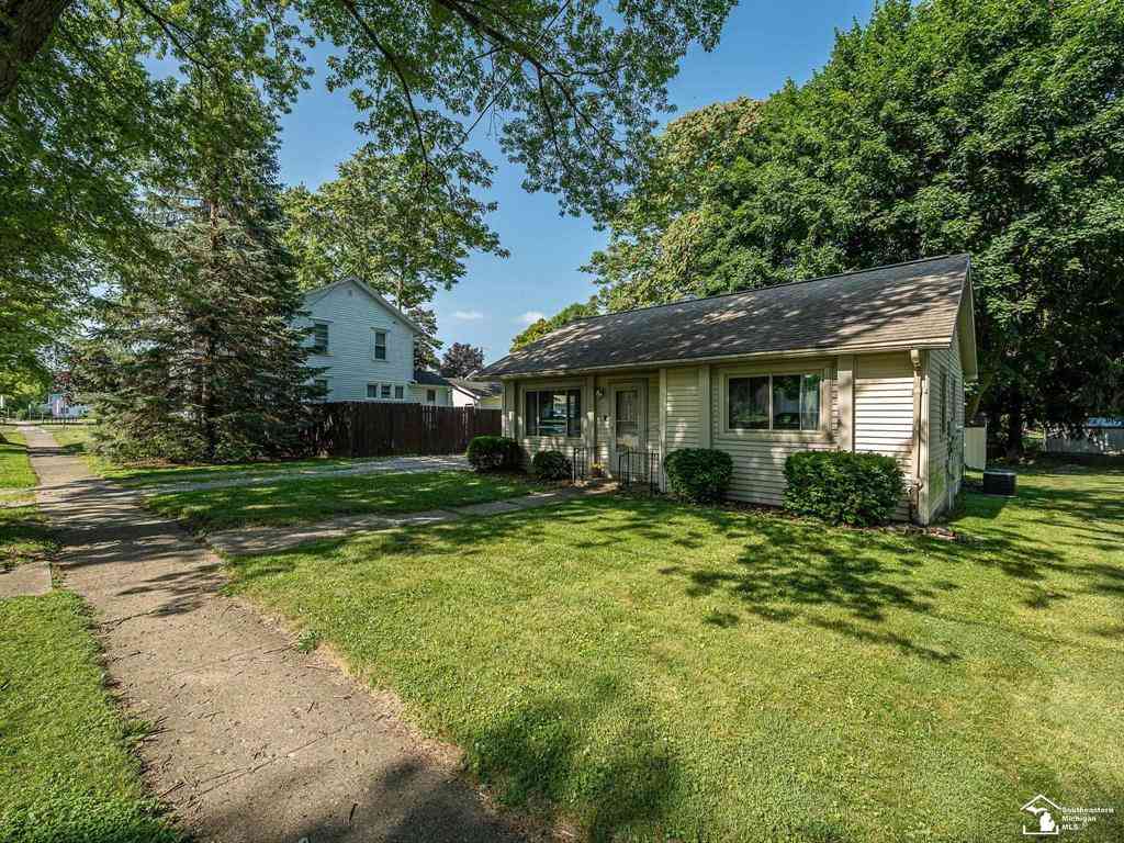 Homes For Sale - 220 Raisin Street <br/> Lenawee County, Deerfield, MI 49238