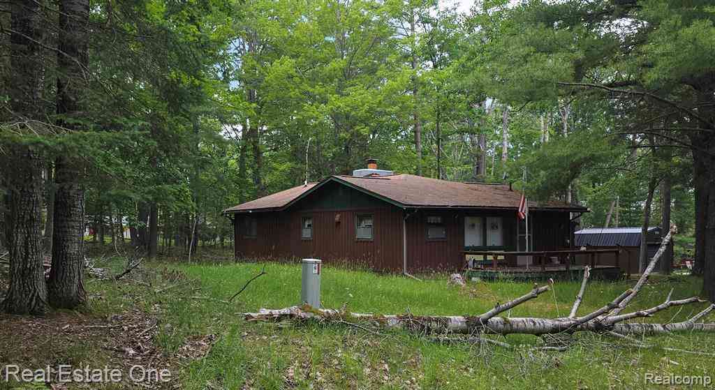 Homes For Sale - 4233 N Pheasant Road <br/> Alcona County, Lincoln, MI 48742