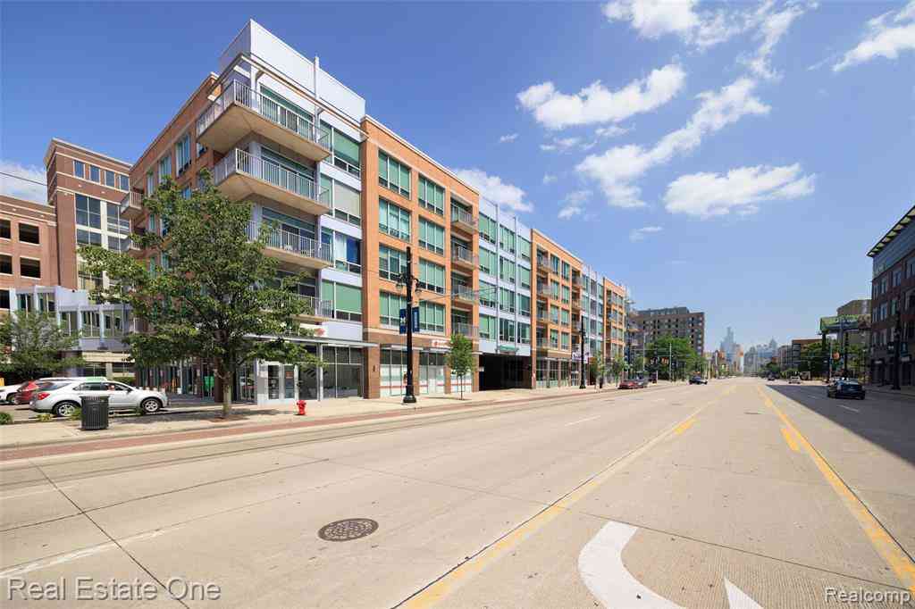 Condo For Sale - 3670 Woodward Avenue  #205<br/> Wayne County, Detroit, MI 48201