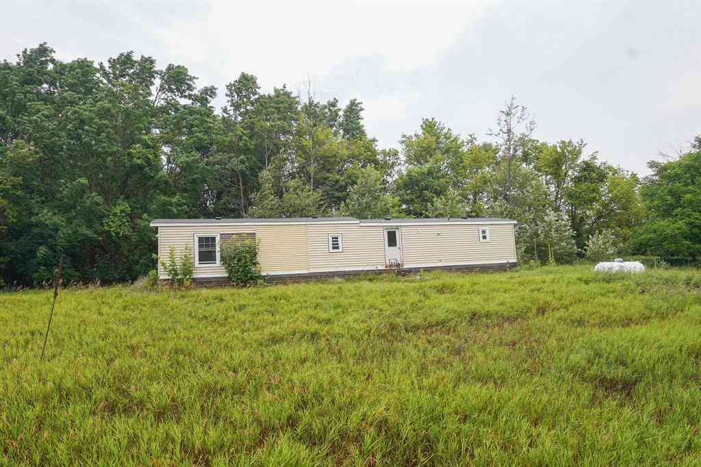 Homes For Sale - 4685 W Fritz Road <br/> Stanton, MI 00000