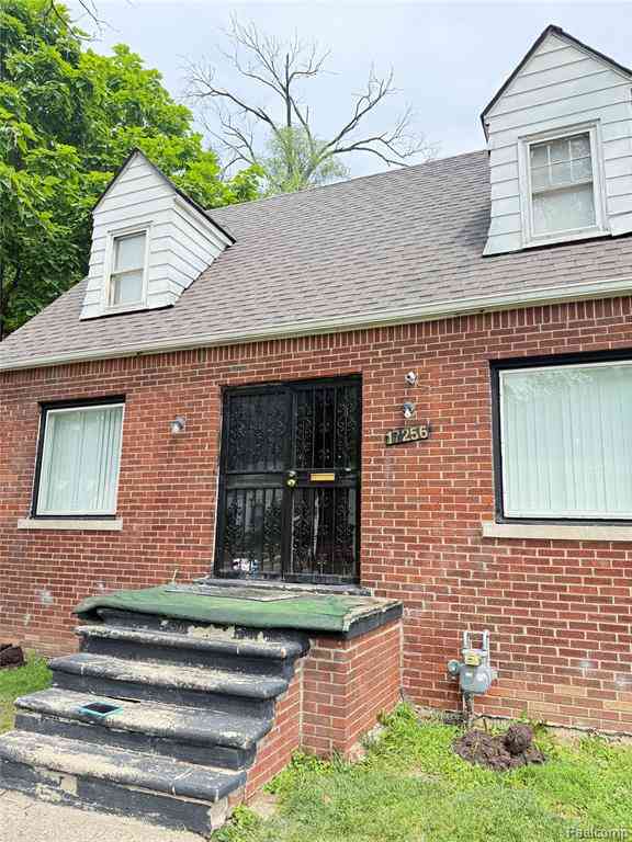 Homes For Sale - 17256 Pierson Street <br/> Detroit, MI 48219