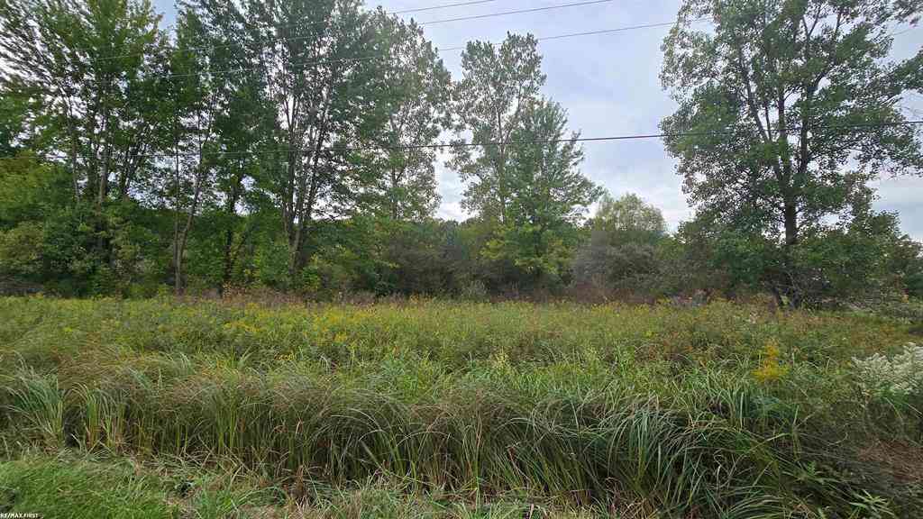 Homes For Sale - 676 Richman Road <br/> Saint Clair County, St. Clair, MI 48079