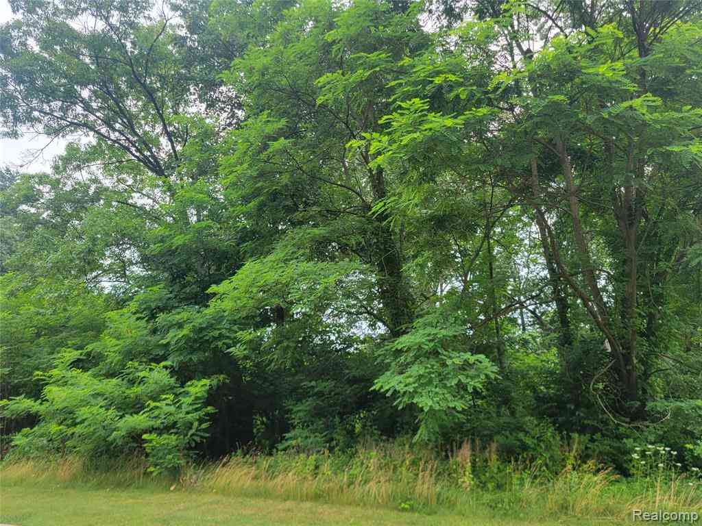 Vacant Land For Sale - LOT 32 - Pinemont  <br/> Brighton, MI 48116