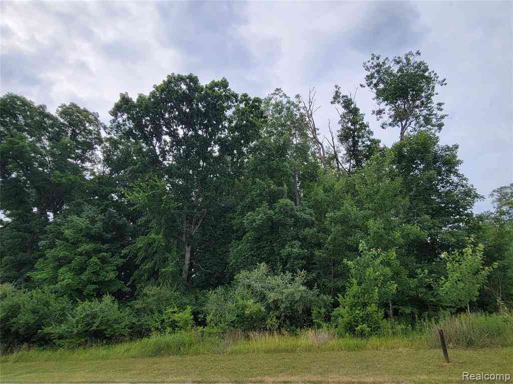 Vacant Land For Sale - LOT 14 - 5972 Wyndam Lane <br/> Brighton, MI 48116