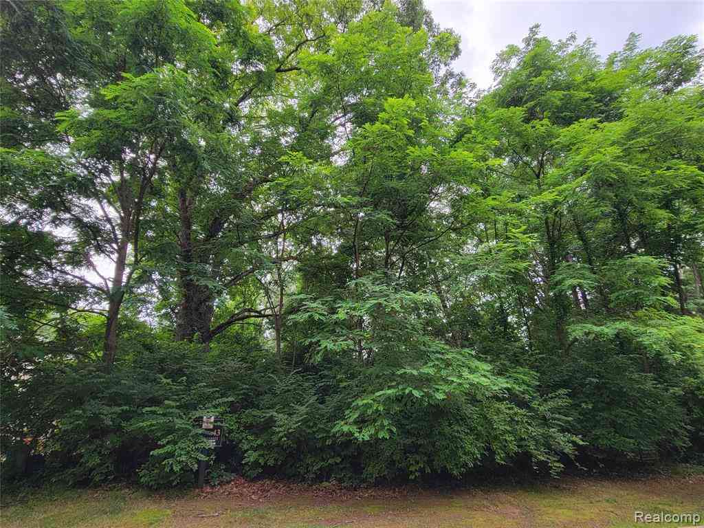 Vacant Land For Sale - LOT 43 - Pinemont  <br/> Brighton, MI 48116