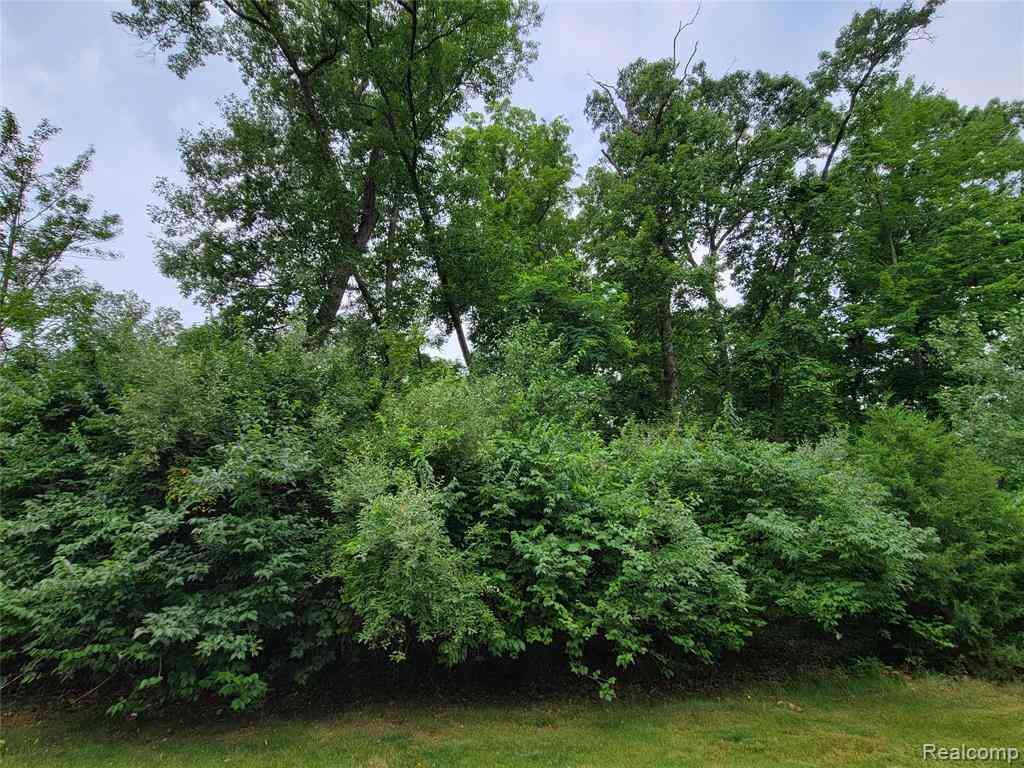 Vacant Land For Sale - LOT 53 - Pinemont  <br/> Brighton, MI 48116