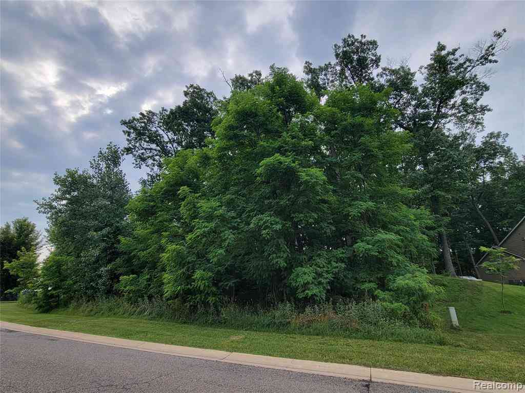 Vacant Land For Sale - LOT 55 - Wyndam Lane <br/> Brighton, MI 48116