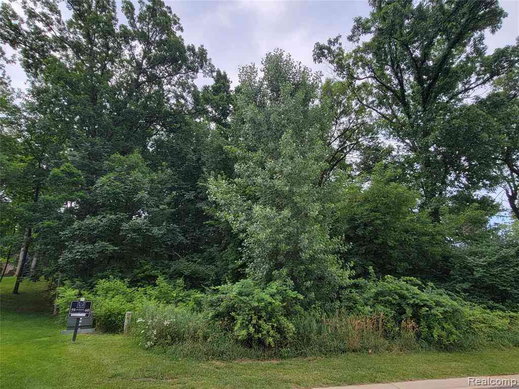 Vacant Land For Sale - LOT 60 - 5876 Wyndam Lane <br/> Brighton, MI 48116