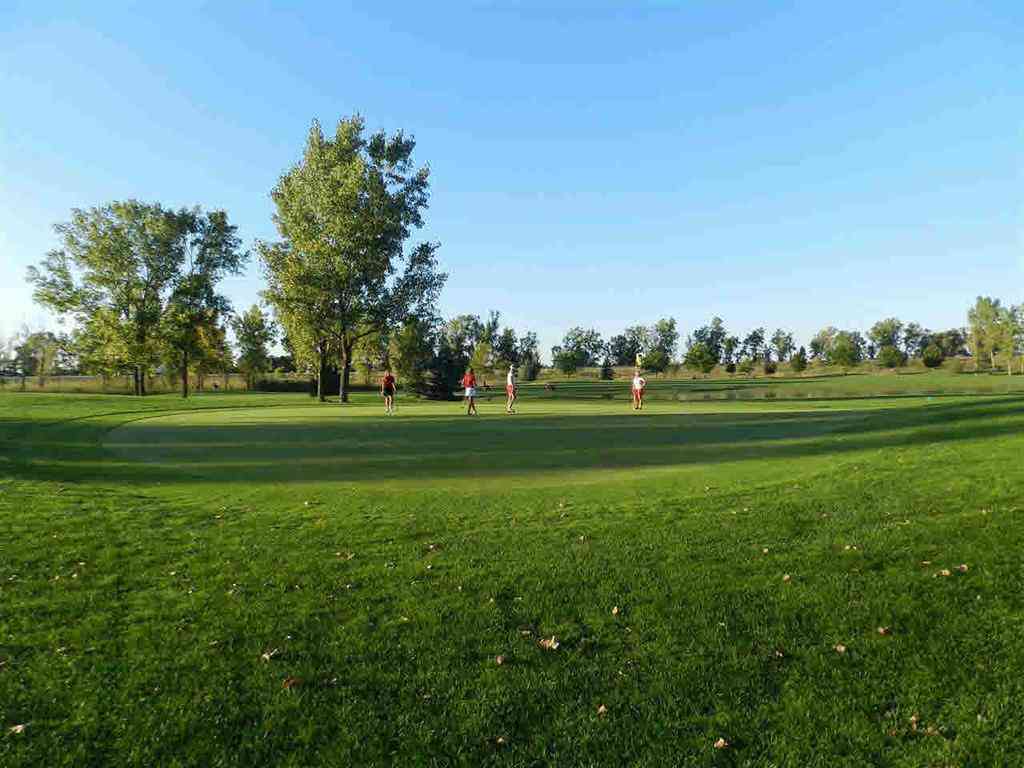 Vacant Land For Sale - W Grand Blanc Road <br/> Gaines, MI 48436