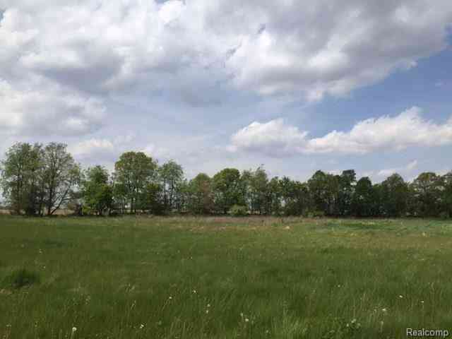 Vacant Land For Sale - Adelines (lot 20) Way <br/> Fowlerville, MI 48836