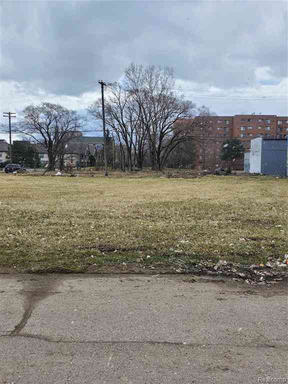 Vacant Land For Sale - 2138 Hendricks  <br/> Detroit, MI 48207