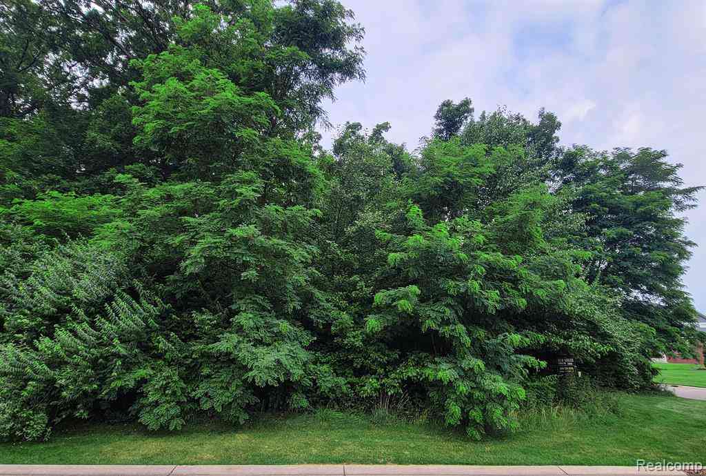 Vacant Land For Sale - LOT 12 Wyndam Lane <br/> Brighton, MI 48116