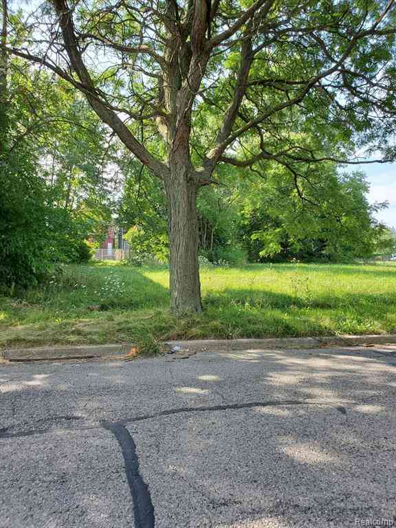 Vacant Land For Sale - 314 Mount Vernon Avenue <br/> Grosse Pointe Farms, MI 48236