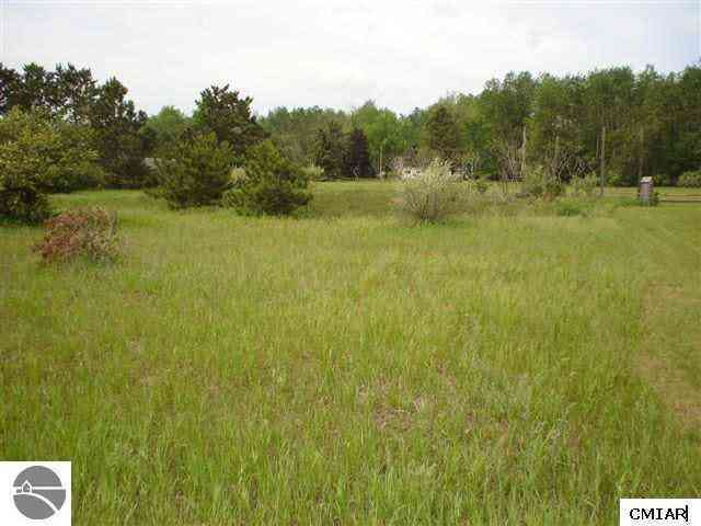 Vacant Land For Sale - 1049 Duquesa Lane <br/> Lake Isabella, MI 48893