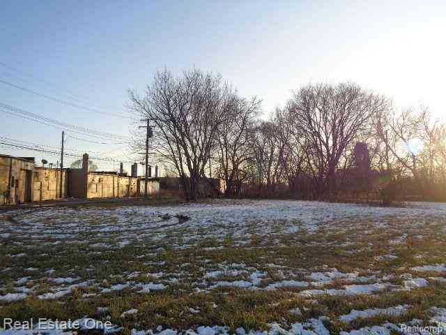 Vacant Land For Sale - 14404 Manning Street <br/> Detroit, MI 48205