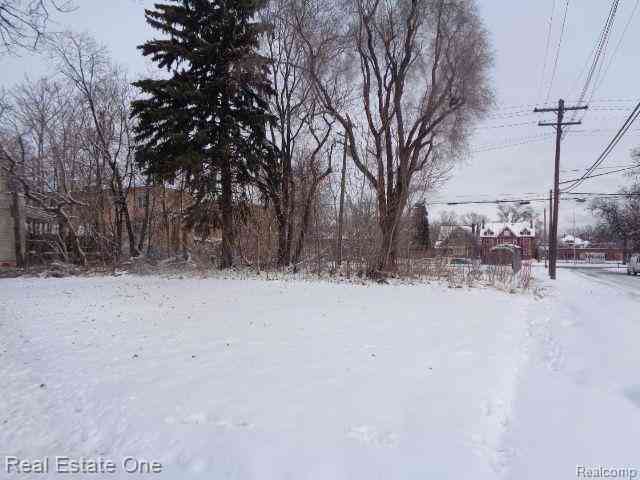 Vacant Land For Sale - 3104 Helen Street <br/> Detroit, MI 48207