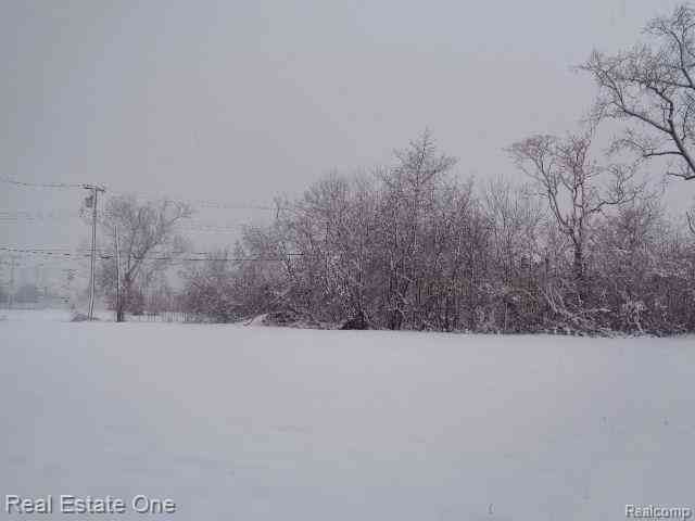 Vacant Land For Sale - 1043 Canton Street <br/> Detroit, MI 48207