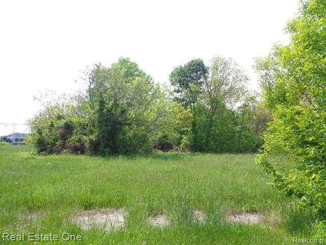 Vacant Land For Sale - 1051 Concord Street <br/> Detroit, MI 48207
