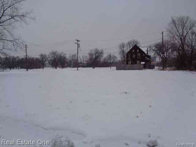 Vacant Land For Sale - 446 Concord Street <br/> Detroit, MI 48207