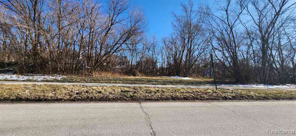 Vacant Land For Sale - 402 E Euclid Street <br/> Detroit, MI 48202