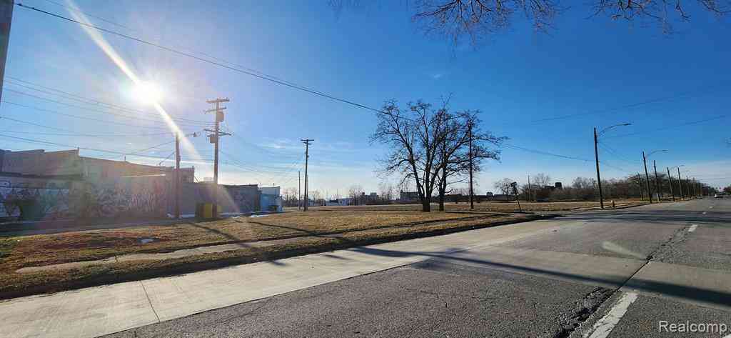 Vacant Land For Sale - 4261 Rosa Parks Boulevard <br/> Detroit, MI 48208