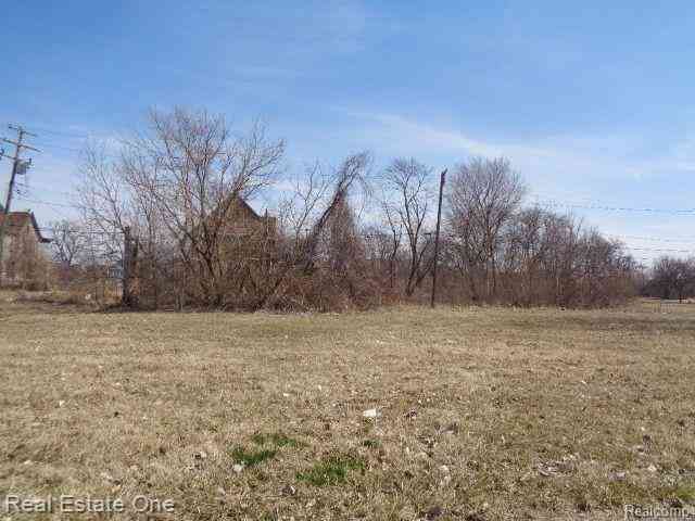 Vacant Land For Sale - 570 Concord Street <br/> Detroit, MI 48207