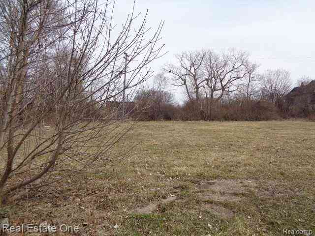 Vacant Land For Sale - 612 Concord Street <br/> Detroit, MI 48207