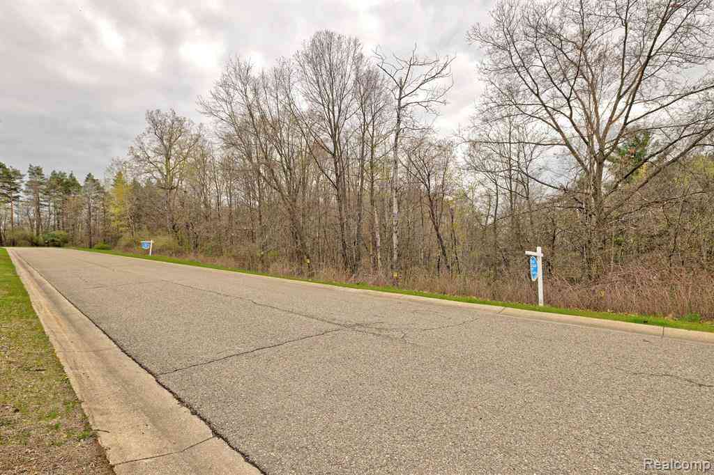 Vacant Land For Sale - 207 Astor Knolls Drive <br/> Ortonville, MI 48462