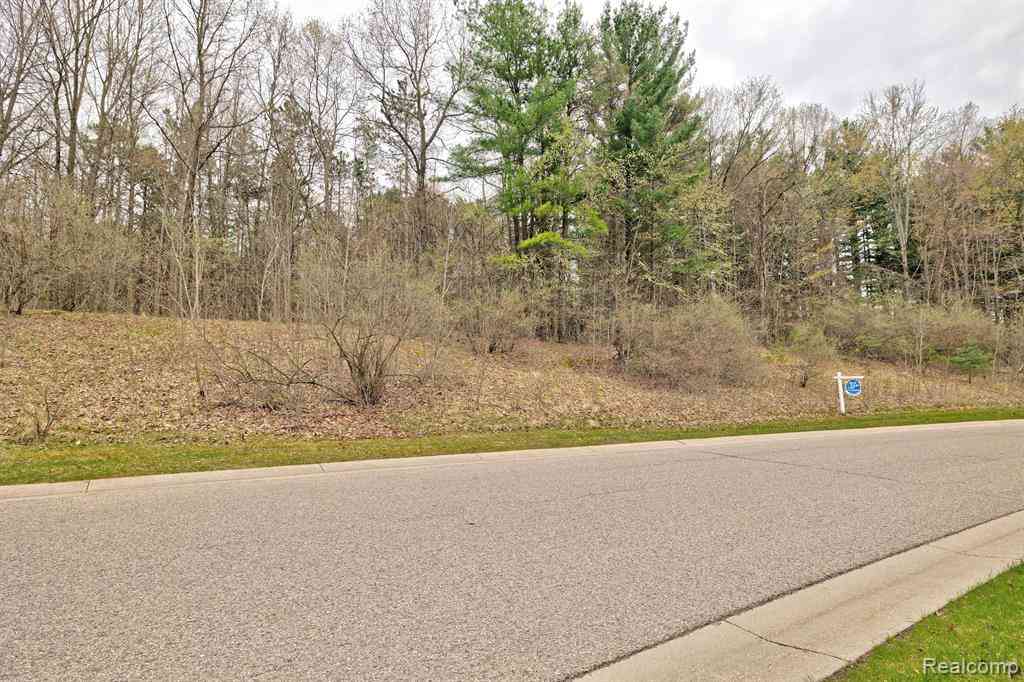 Vacant Land For Sale - 313 Dogwood Lane <br/> Ortonville, MI 48462