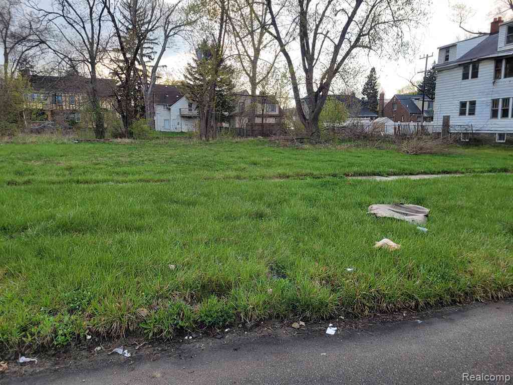 Vacant Land For Sale - 16815 Log Cabin Street <br/> Highland Park, MI 48203