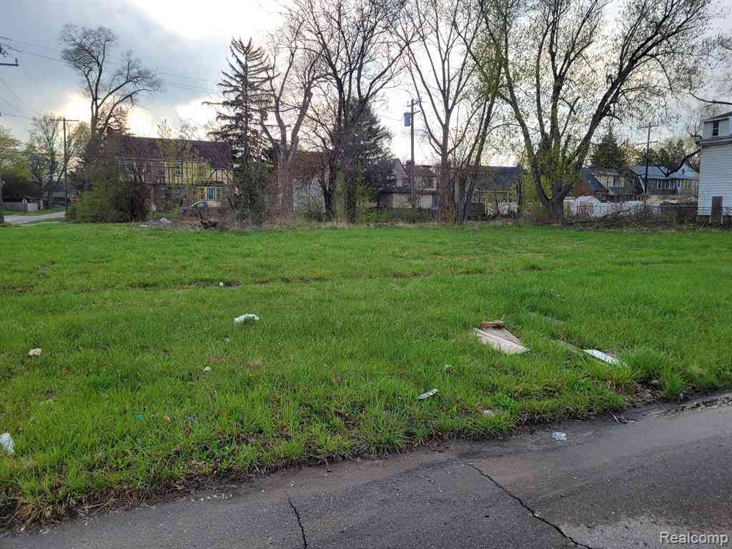 Vacant Land For Sale - 16809 Log Cabin Street <br/> Highland Park, MI 48203