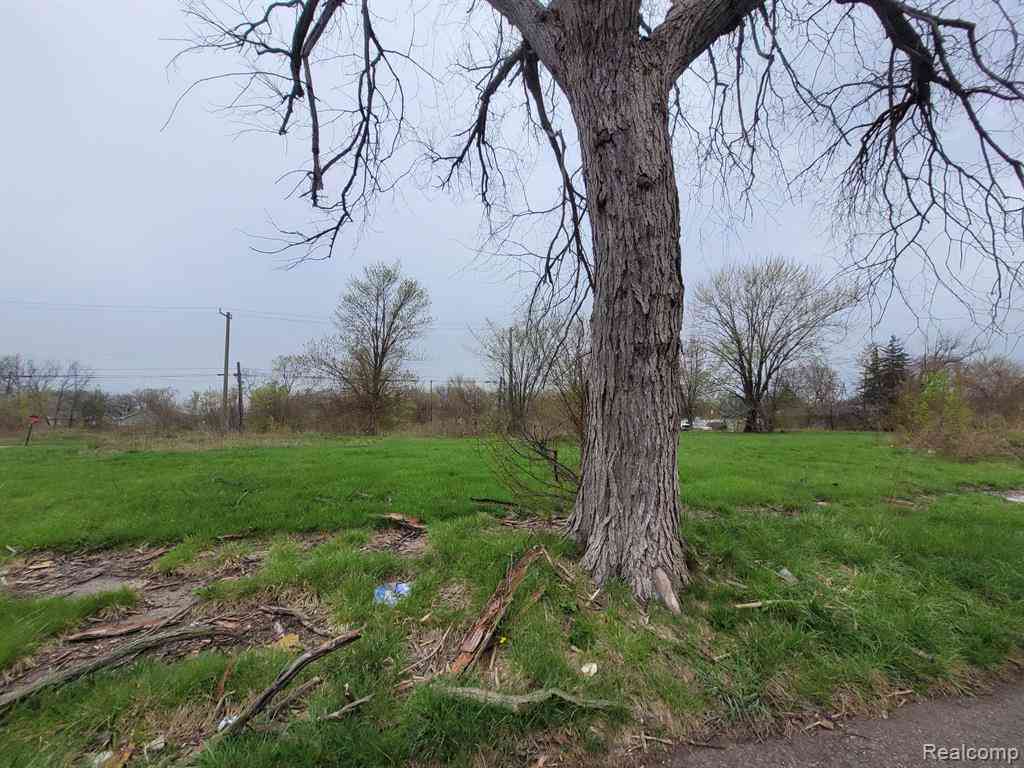 Vacant Land For Sale - 3919 Beaconsfield Street <br/> Detroit, MI 48224