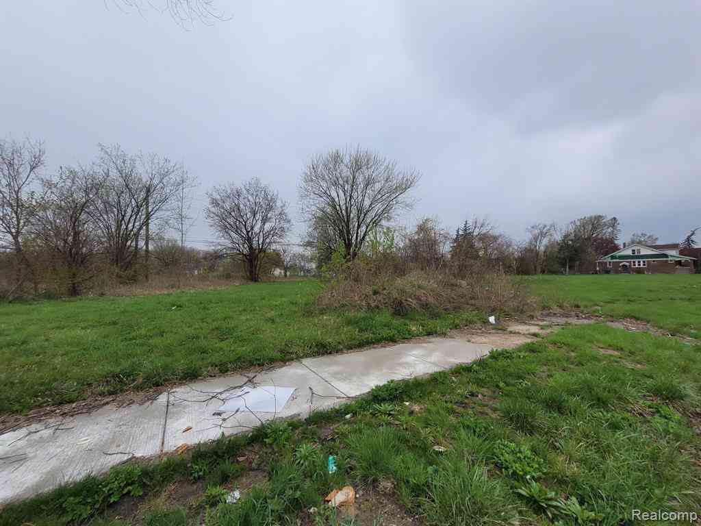 Vacant Land For Sale - 3927 Beaconsfield Street <br/> Detroit, MI 48224