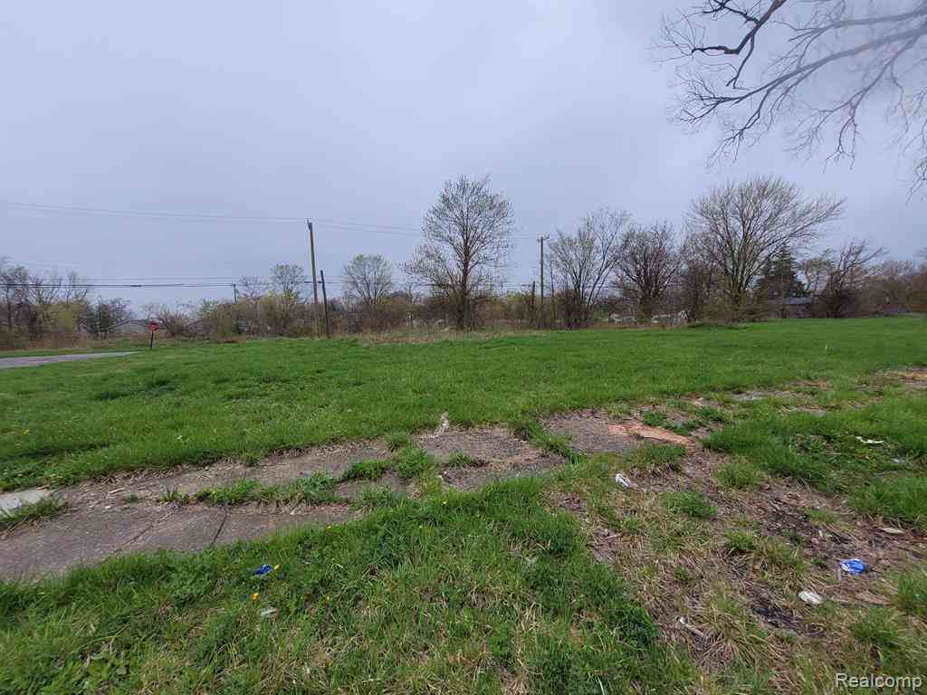 Vacant Land For Sale - 3911 Beaconsfield Street <br/> Detroit, MI 48224