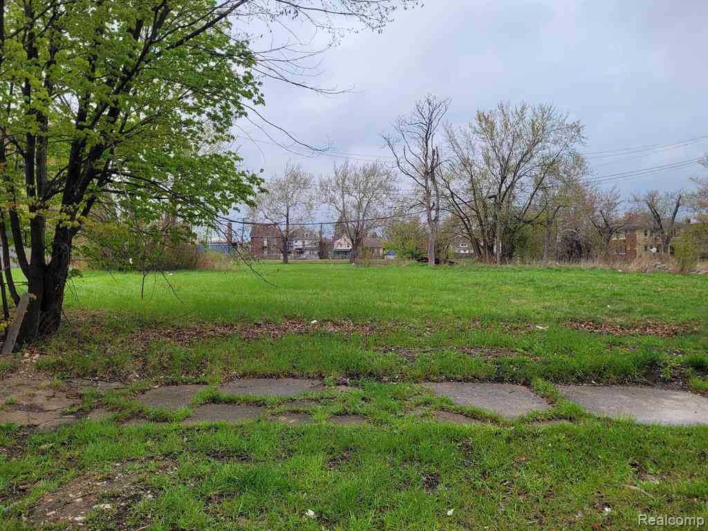 Vacant Land For Sale - 3340 Rochester Street <br/> Detroit, MI 48206