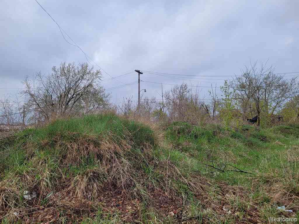 Vacant Land For Sale - 3332 Rochester Street <br/> Detroit, MI 48206