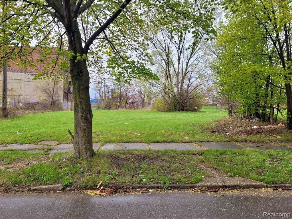 Vacant Land For Sale - 3352 Rochester Street <br/> Detroit, MI 48206