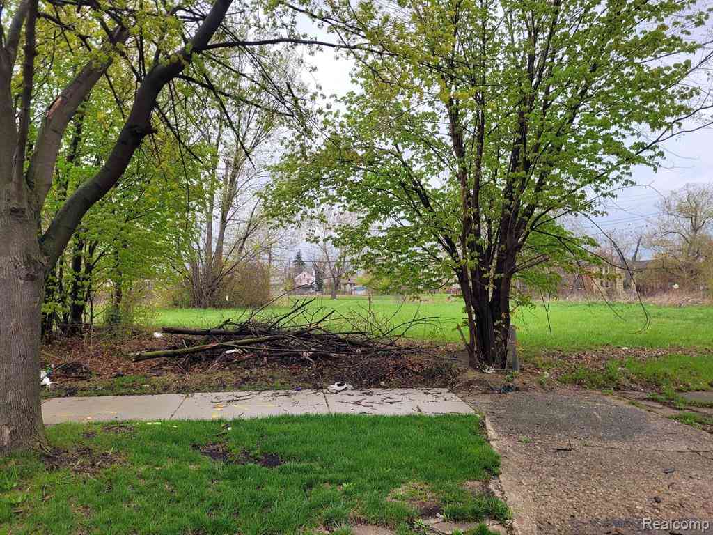Vacant Land For Sale - 3346 Rochester Street <br/> Detroit, MI 48206