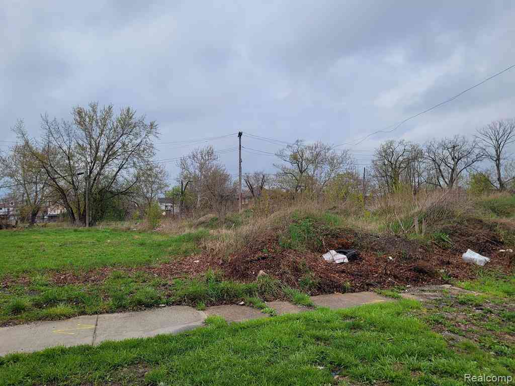Vacant Land For Sale - 3324 Rochester Street <br/> Detroit, MI 48206